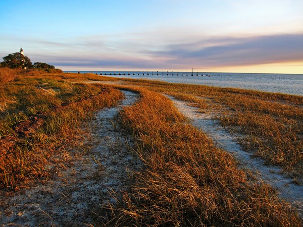 Lighthouse Road