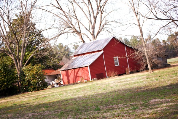 Image5