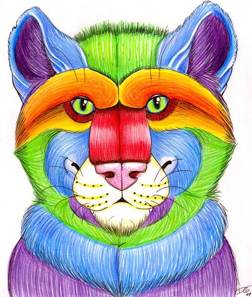 Colorful Toucat