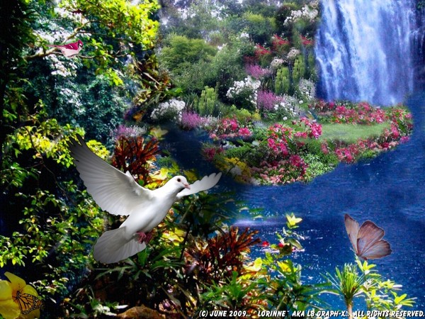 Tropical Garden