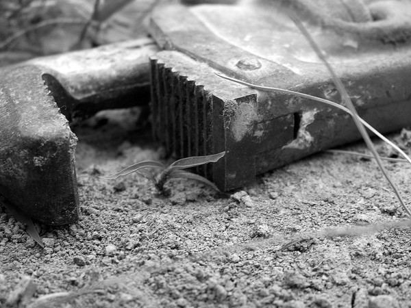 Wrench 