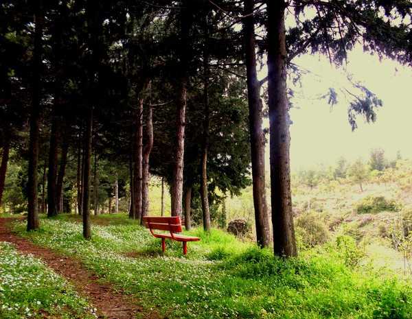 alone