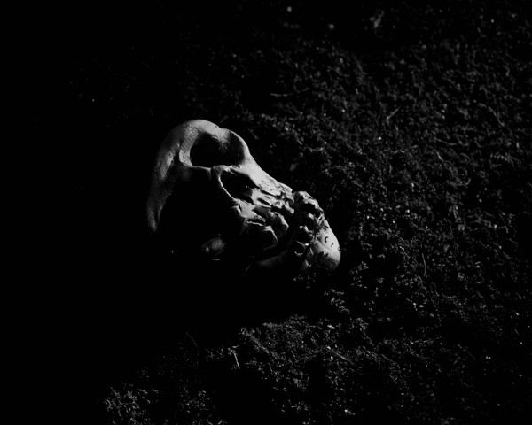 Still dead