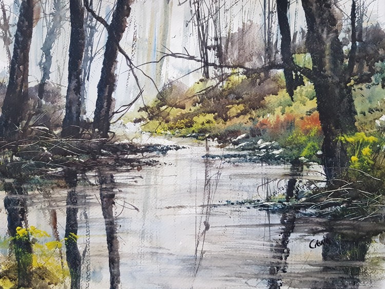 Sutton Park Stream