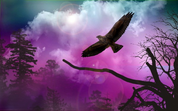Flight