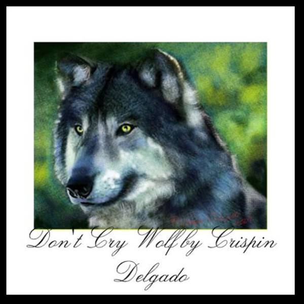 Don't Cry Wolf