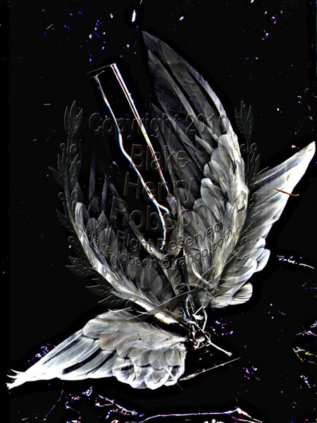 Wings & Champagne Glass