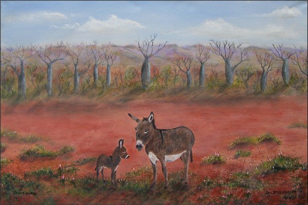 Desert Donkeys
