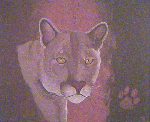 Cougar Spirit Guide