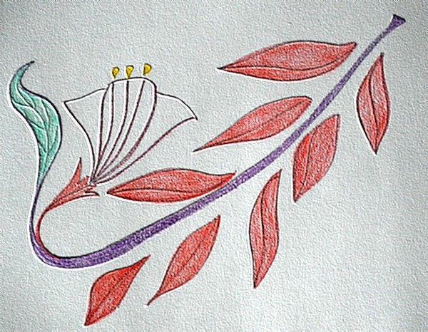 Fleurs 043