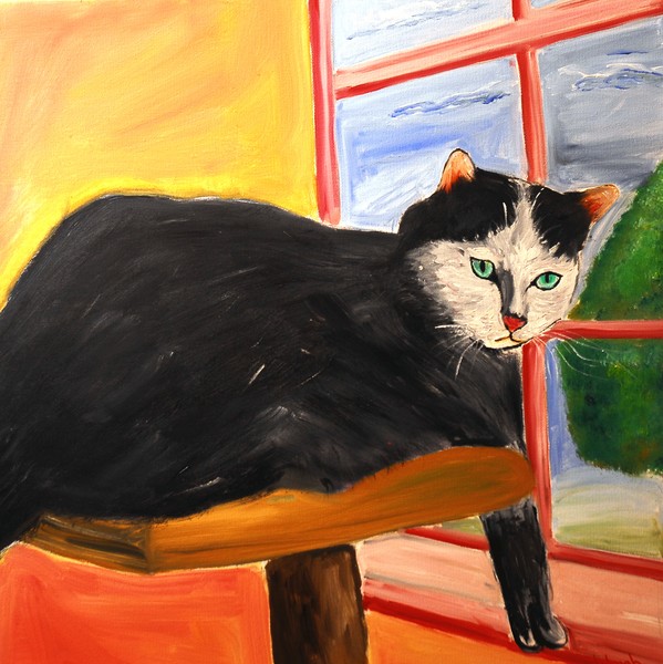 Cat on his Perch