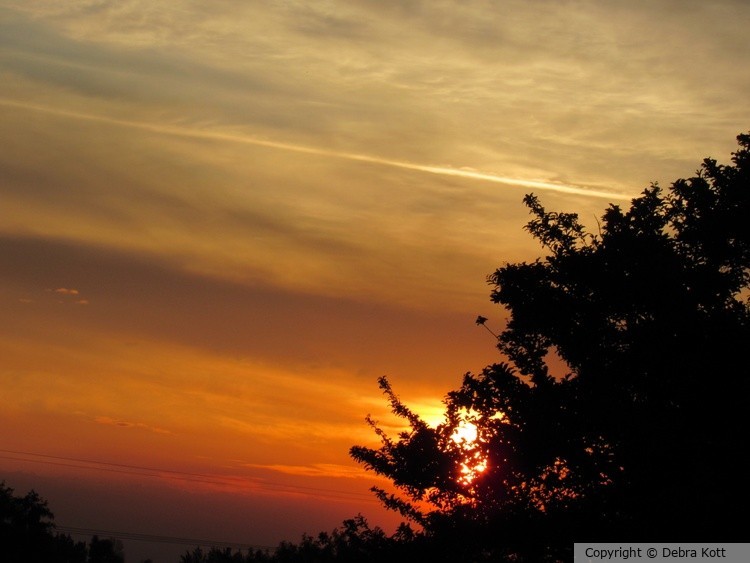 Sunrise