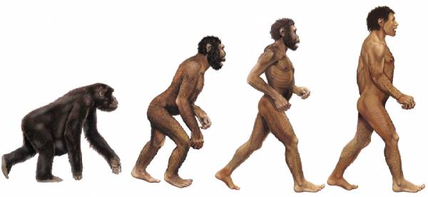 Evolution -ProCycle
