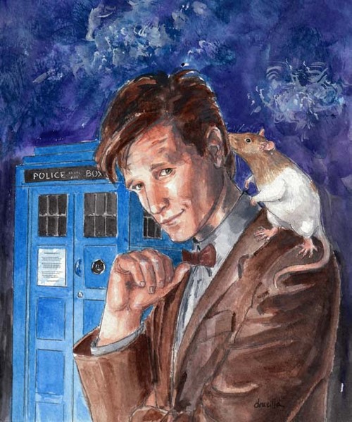 The Doctor's Secret Companion