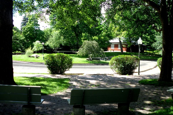 Westmount Park In July (Five)