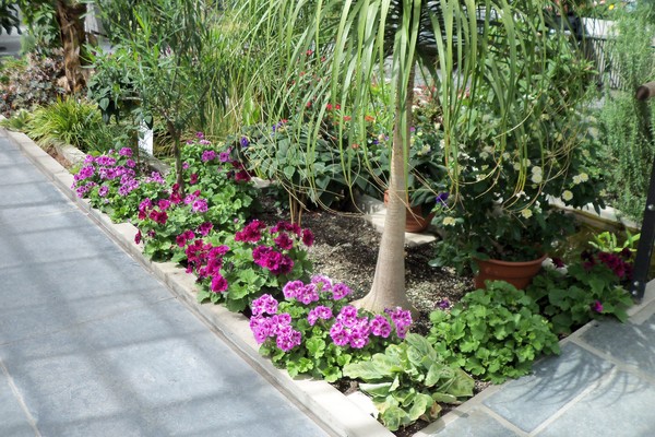 Green House At Westmount Park 1