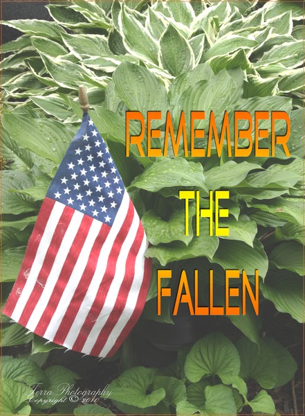 Remember the Fallen 