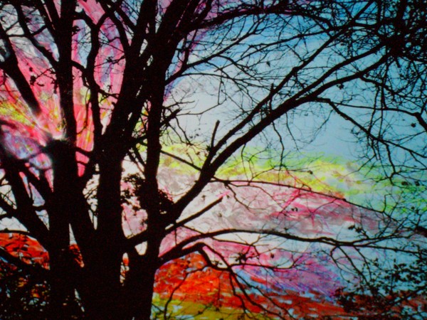 Sunset along the banks of the Mississippi