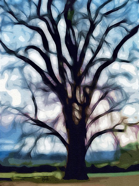 Happy Valley Tree