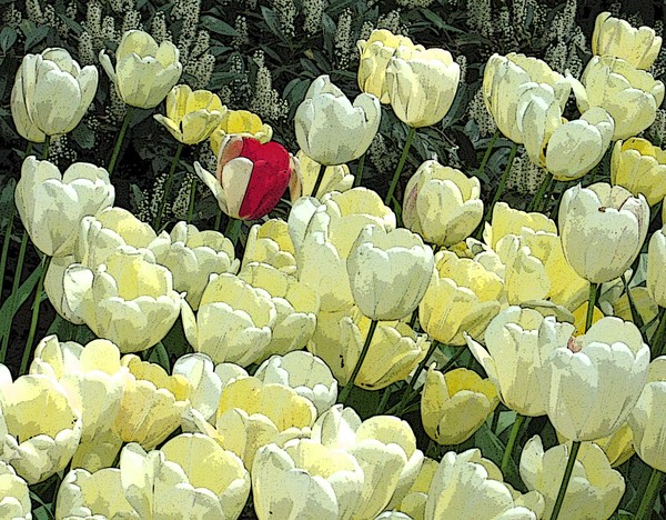 Lonely Red