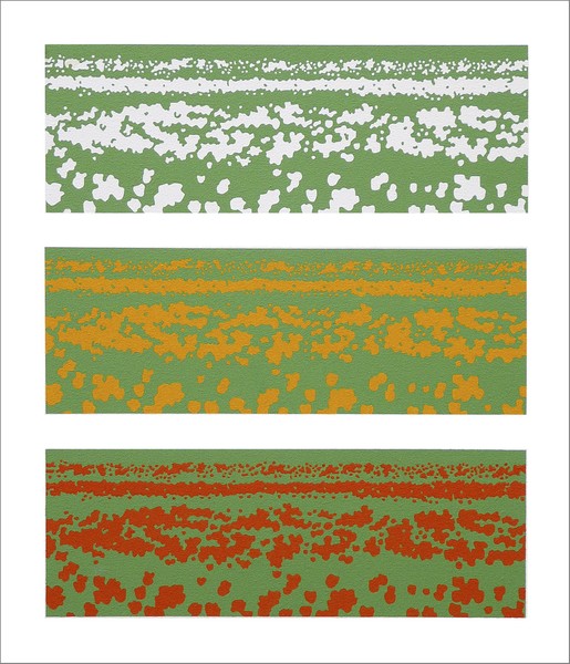 Tulip Fields