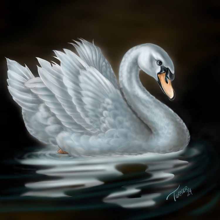 The White Swan