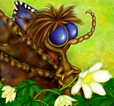 Butterfly and anemones