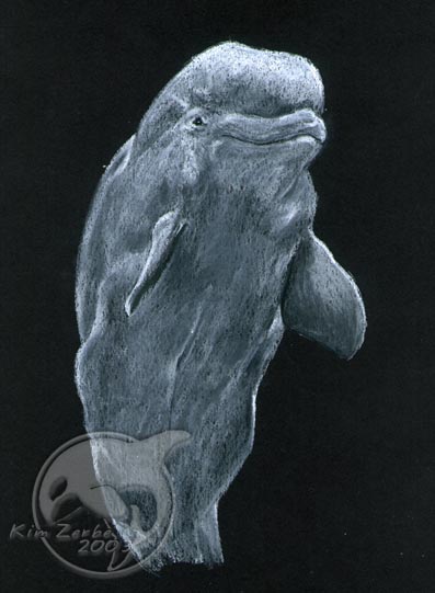 Muk Tuk