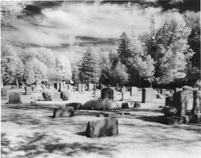 Infrared Cemetary