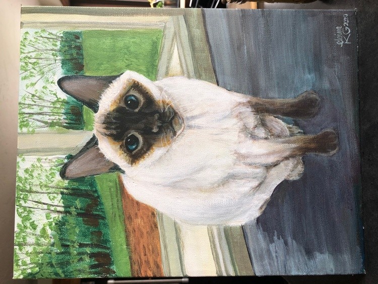Peyton's Cat