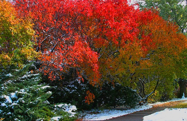 Nebraska Fall Colors, ne772