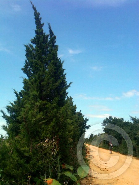 Deb Ahead