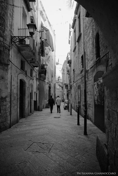 among the streets..