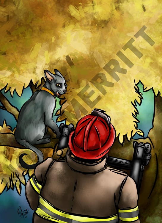 Published Content - Cat in a Tree