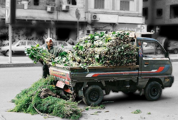 Man unloading Truck