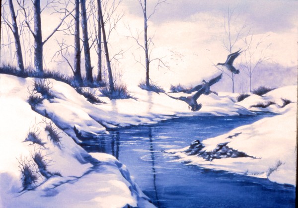 Ice landing