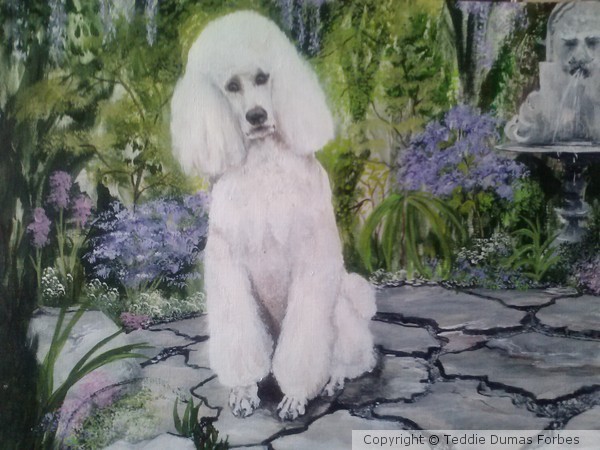 poodle
