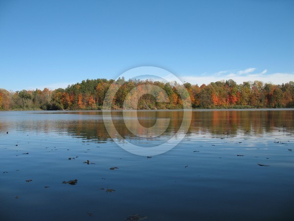 Autumn Lake