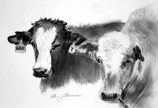 688 Sisters, Sketch 1