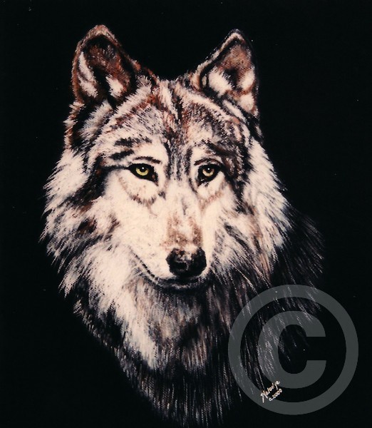 Grey Wolf