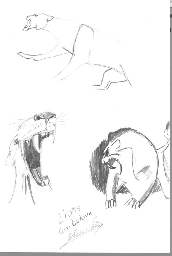 Caricaturas-lions
