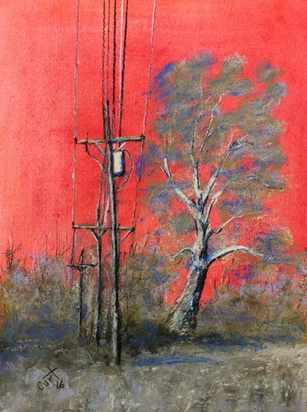 Abstract Sycamore tree