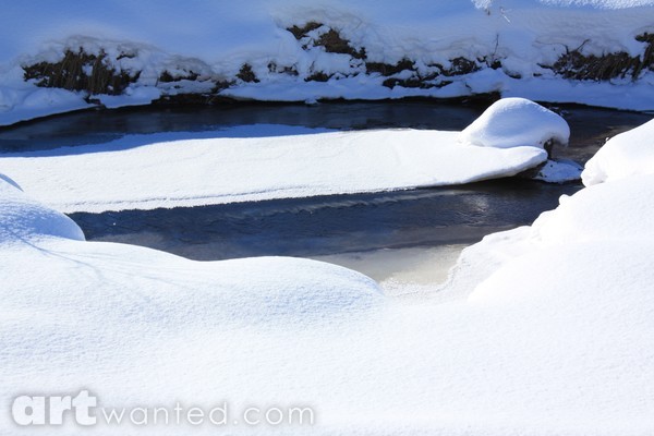 Winter brook