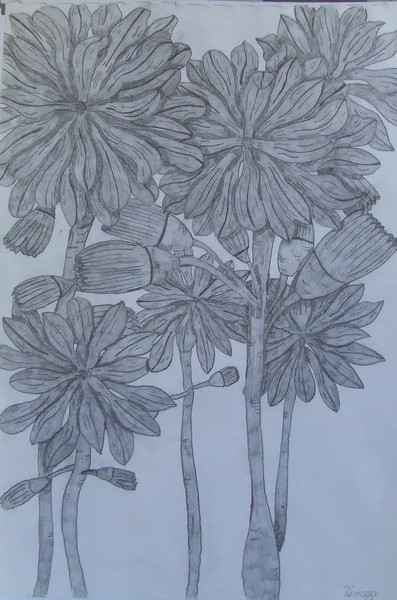My drawings 011