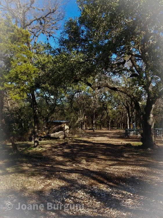 Zilker Trails