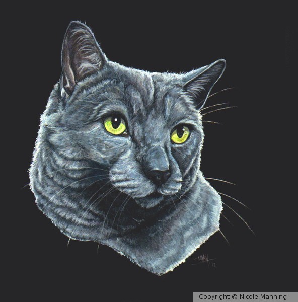 Shades of Grey