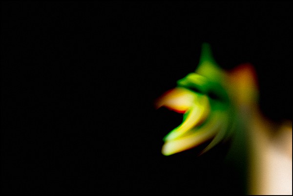 Shadow Dance 2