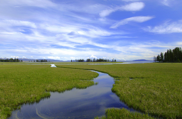 Pelican Creek