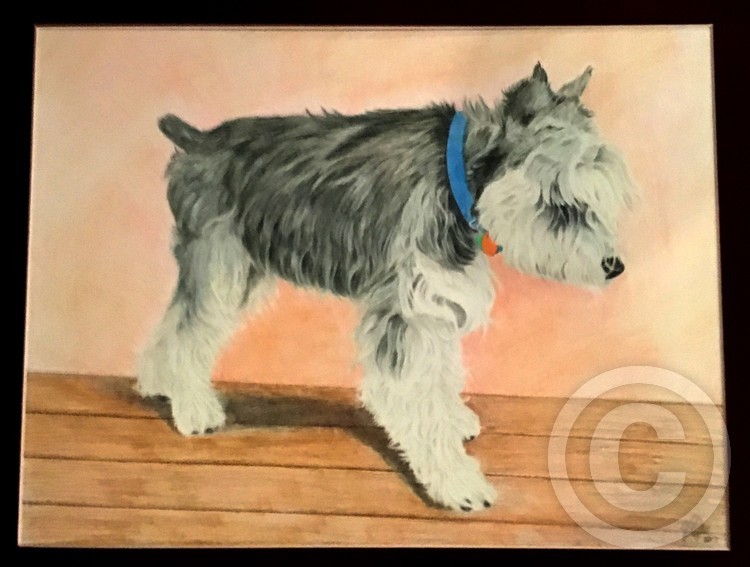 Schnauzer
