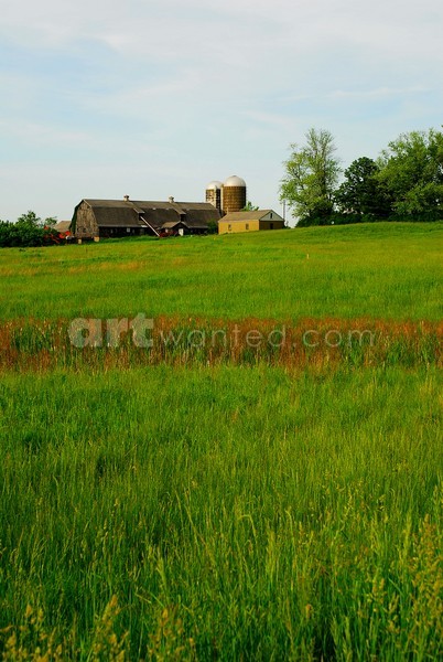 Ushers, NY Farm